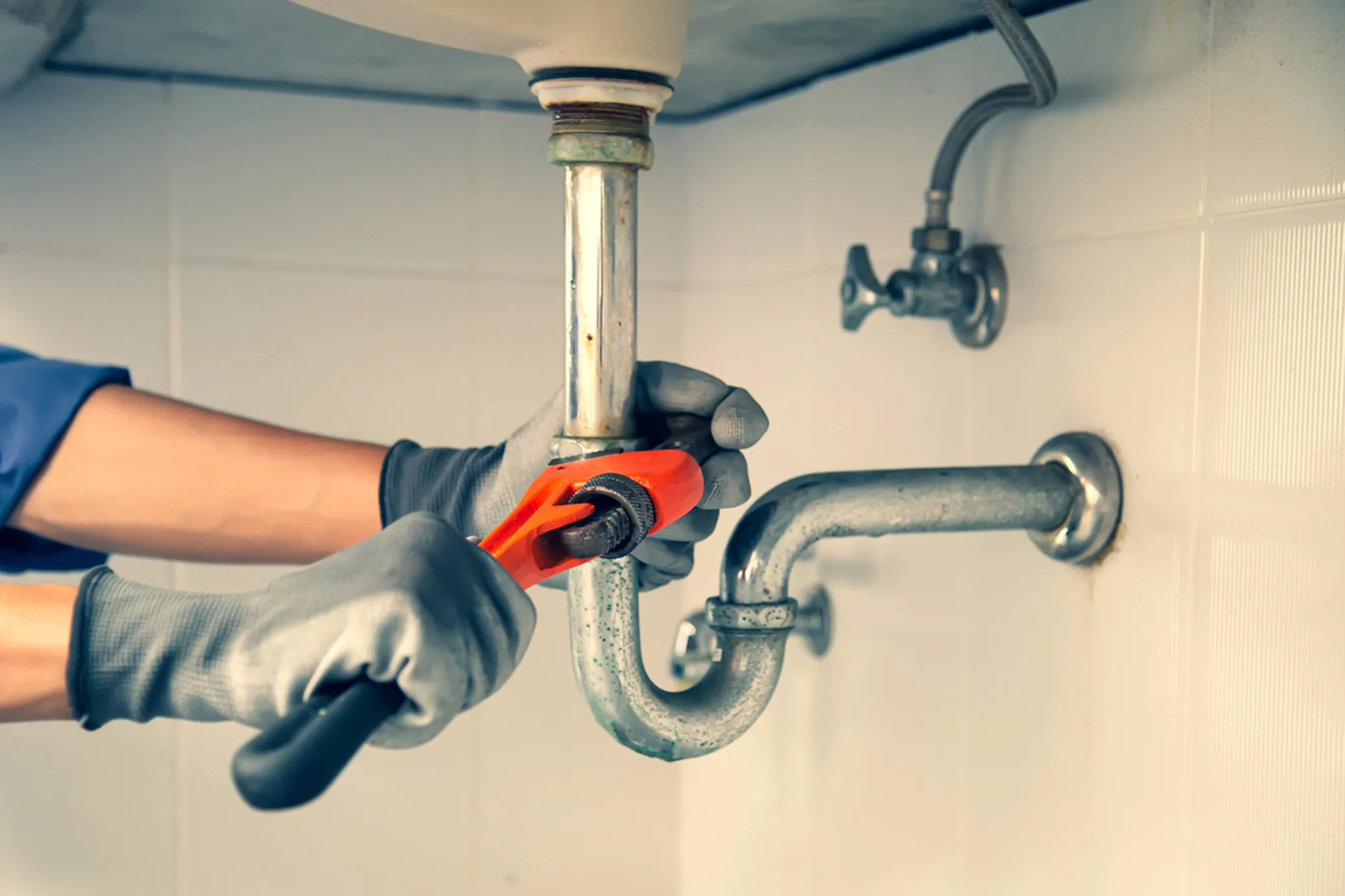 Plumbing professionals coached by True North